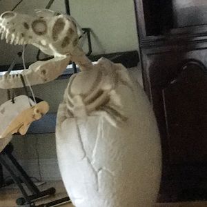 Meet your Posher, Daisy